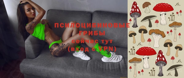 дживик Гусиноозёрск