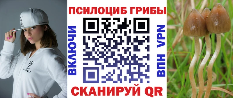что такое   Гусиноозёрск  Галлюциногенные грибы мицелий 